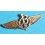 Rare Genuine Breitling Gilt Color Logo Wings B Watches goodies