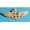 Logo, écusson, symbole plastique Montres Breitling Ailé couleur dorée 6cm