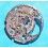 Tudor Rare Auto Prince Main Plate spare caliber Watches Cal ETA 1895 President Day Date Jumbo ref 7017