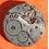 Rolex authentique mouvement, calibre PRIMA / UNICORN mécanique base manuel 17 rubis Geneva Suisse Rolex Patended
