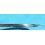 AUTHENTIQUE LUNETTE ANNEAU MAINTIEN VERRE PLEXIGLAS MONTRES ROLEX GMT MASTER 1675, 16753, 16750