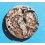 Rolex Used For restore Authentic 1570, 1560 part for restore or repair Automatic Watch Caliber Main Plate -Ref 8130