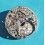 Rolex Used For restore Authentic 1570, 1560 part for restore or repair Automatic Watch Caliber Main Plate -Ref 8130
