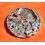 Rolex Rare 2130-100 Main Plate Timepiece Ladies Cal 2130 watch spare for service or repair