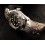 VINTAGE MOTORCYCLE Olongapo WATCH CURVED STAINLESS STEEL BRACELET 20mm ENDLINKS