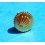 RARE VINTAGE & RARE COURONNE MONTRES ROLEX OYSTER OR JAUNE 4.25mm ANTI-POUSSIERE
