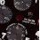 Tudor Genuine & Rare Chrono Time Tiger Prince Chronograph Steel 40mm Glossy Black Watch part Dial 79280