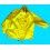 Rolex Rare Factory yellow color Raincoat, parka, jacket clothing XL size Boat clothes