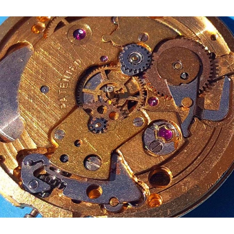 Comment Choisir Le Meilleur Système D'arrosage Automatique En 2024 Guide Complet