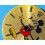 ROLEX RARE COLLECTIBLE OYSTERDATE PRECISION EXOTIC WATCH DIAL ✰MICKEY MOUSE✰ Ref 6694 CAL MANUAL