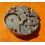Watch spare for sale Main plate jeweled for eta swiss movement valjoux 7750