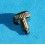 Rolex Rare Vintage 40's Bubbleback Rolex + Oyster Ø5.50mm Crown Watch Part
