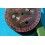 BREITLING EXOTIC BLACK NAVITIMER CHRONO-MATIC VINTAGE WATCH PART PINK-RED DIAL