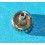 Rolex Ladies Watch Crown Datejust Date Steel Ø5.30mm Part 6916, 6917, 6916, 6718