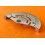 ROLEX ROTOR / BALANCIER / MASSE OSCILLANTE MOUVEMENT AUTOMATIQUE LADIES 2135, 2035, 2030, 2130