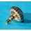 Rolex Datejust Twinlock GMT Ø6.20mm Stainless Steel Watch Crown Winding Part