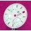 Tudor Chronograph Mint watch Albino White & Grey dial 79280, 79280, 79260, 79160, 79270 Ø29mm