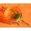ROLEX Rare microstella ajusteur d'huile mouvement automatique 3135 1570 1560 1575 1565 1580 3035 outil