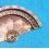 ROLEX SUPER BALANCE AUTO ROTOR AUTOMATIC MOVEMENT N 6510 BUBBLE BACK WATCHES PART