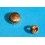 Rolex GMT 16718, 16713, Datejust watches Yellow Gold Date Crown & screwed tube Part 6mm for sale