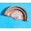 ROLEX AUTO ROTOR OSCILLATING WEIGHT AUTOMATIC MOVEMENT BUBBLE BACK WATCHES PART