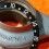 Rolex All Black watch Insert GMT Master II 16710, 16700, 16760 Sophia Loren, Fat Lady OEM Original