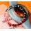 Rolex Graduated 24H bezel watch Insert GMT Master II 16710, 16700, 16760 Sofia Loren, Fat Lady OEM Original