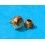ROLEX RARE VINTAGE & RARE COURONNE & TUBE MONTRES ROLEX OYSTER OR JAUNE Ø5.30mm Twinlock ref 24-480-8