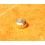 ROLEX RARE VINTAGE & RARE COURONNE MONTRES ROLEX OYSTER OR JAUNE Ø5.30mm Twinlock ref 24-480-8