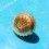 Rolex 18K Yellow Gold Watch Crown 6MM Datejust Oyster Part 1601 16013