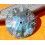 Raymond Weil Parsifal Automatic Cadran Accessoires montres Nacré Mother of Pearl ref 2841-STC-00278