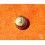 ROLEX RARE VINTAGE & RARE COURONNE MONTRES ROLEX OYSTER OR JAUNE Ø6mm Twinlock