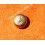 ROLEX RARE VINTAGE & RARE COURONNE MONTRES ROLEX OYSTER OR JAUNE Ø6mm Twinlock