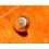 ROLEX RARE VINTAGE & RARE COURONNE MONTRES ROLEX OYSTER OR JAUNE- Ø5.20mm Twinlock