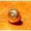 ROLEX RARE VINTAGE & COURONNE REMONTOIR MONTRES ROLEX OYSTER OR JAUNE Ø5.20mm Twinlock