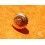 ROLEX RARE VINTAGE & RARE COURONNE, REMONTOIR MONTRES ROLEX OYSTER OR JAUNE Ø6mm Twinlock