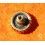 ROLEX RARE VINTAGE & RARE COURONNE MONTRES ROLEX OYSTER OR JAUNE Ø5.30mm Twinlock ref 24-480-8