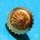 ROLEX RARE VINTAGE & RARE COURONNE MONTRES ROLEX OYSTER OR JAUNE Ø5.30mm Twinlock ref 24-480-8