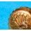 ROLEX RARE VINTAGE & RARE COURONNE MONTRES ROLEX OYSTER OR JAUNE Ø5.30mm Twinlock ref 24-480-8