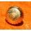 ROLEX RARE VINTAGE & RARE COURONNE MONTRES ROLEX OYSTER OR JAUNE Ø5.30mm Twinlock ref 24-480-8