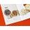 rolex, daytona, submariner, livret, notice, montres vintage