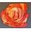 Foulard soie publicité montres ROLEX mode luxe Rose authentique