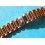 UNIVERSAL GENEVE Rare Discontinued MidSize Watch Bracelet Tutone Ssteel Rose gold 18kt Links 17mm 