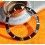 Rolex Rare Sea Dweller 16660, 16600 Genuine Bezel Insert graduated watch Tritium Pearl