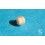 ROLEX ORIGINAL CREAMY VANILLA TONS TRITIUM INSERT PEARL DOT 5513, 5512, 1680, 1665, 5508, 5510, 6538 WATCH VINTAGE PART
