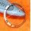 ROLEX AUTHENTIQUE LUNETTE ACIER CANNELEE DE MONTRES DAMES DATEJUST ACIER 6916, 6928, 69173, 69174, 69170, 69179