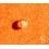 ROLEX ORIGINAL YELLOW~CREAMY TONS TRITiUM INSERT PEARL DOT 5513, 5512, 1680, 1665, 5508, 5510, 6538 WATCH VINTAGE PART