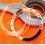ROLEX BEZEL Insert POLISHED WATCH COSMOGRAPH DAYTONA 16520, 116520 OEM Original STAINLESS STEEL Zenith