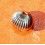 Vintage Watch Part Accessories Horology For sale Ogive Crown Stainless steel Ø 9mm
