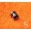 Rolex Genuine OEM Watch Movement 1030 part 6949 clutch wheel cal 1030, 1035, 1055, 1056, ref 1030-6949